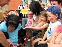 Tiershow im Kinderbereich